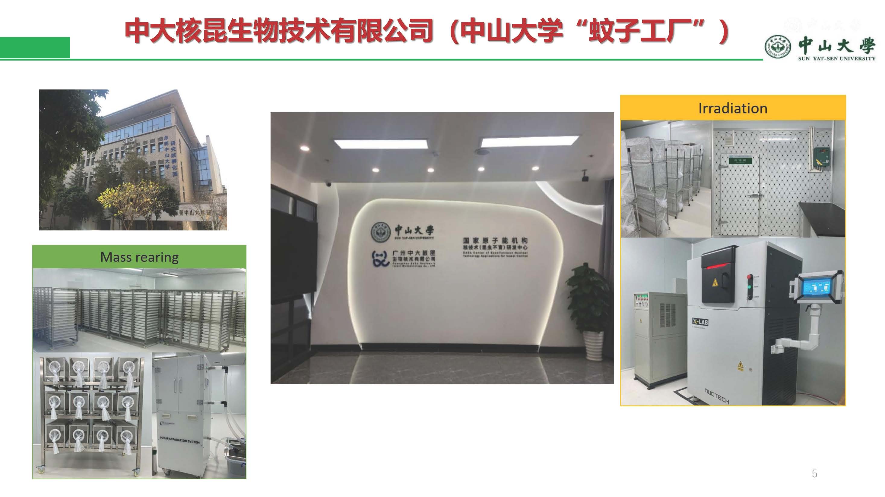 已移除图像。